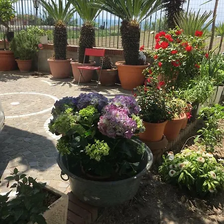 Real La Favorita Bed & Breakfast Ercolano